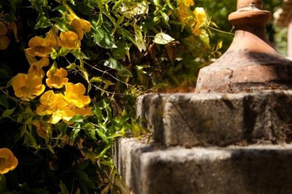 Spiti Prifti Apartments ゴウヴィア エクステリア 写真